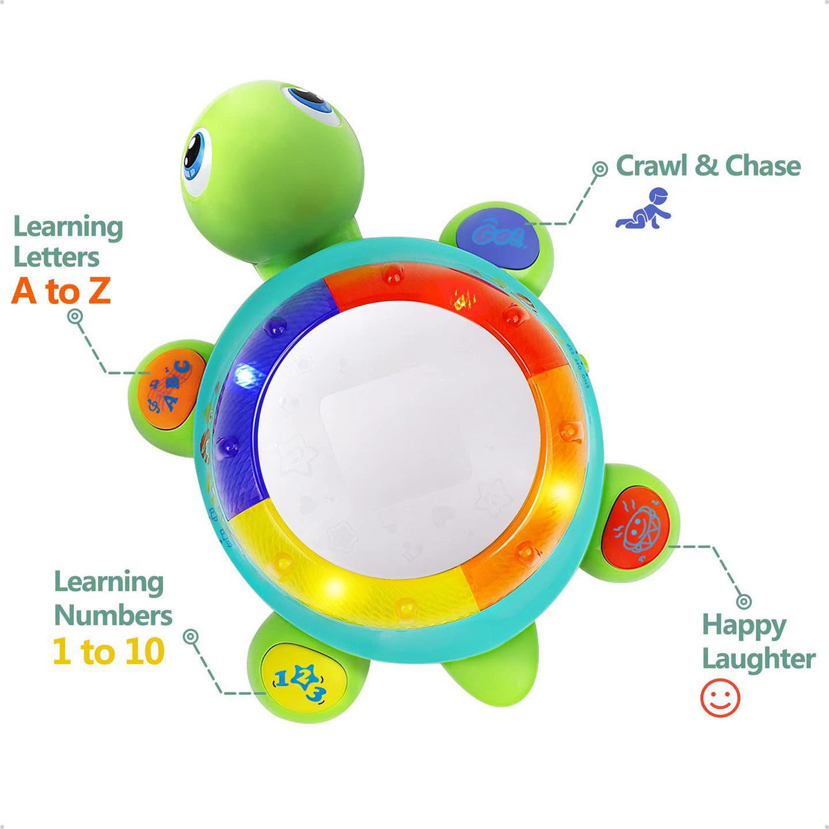 Tortuga musical bilingüe para estimular gateo en bebés 6+ meses!!