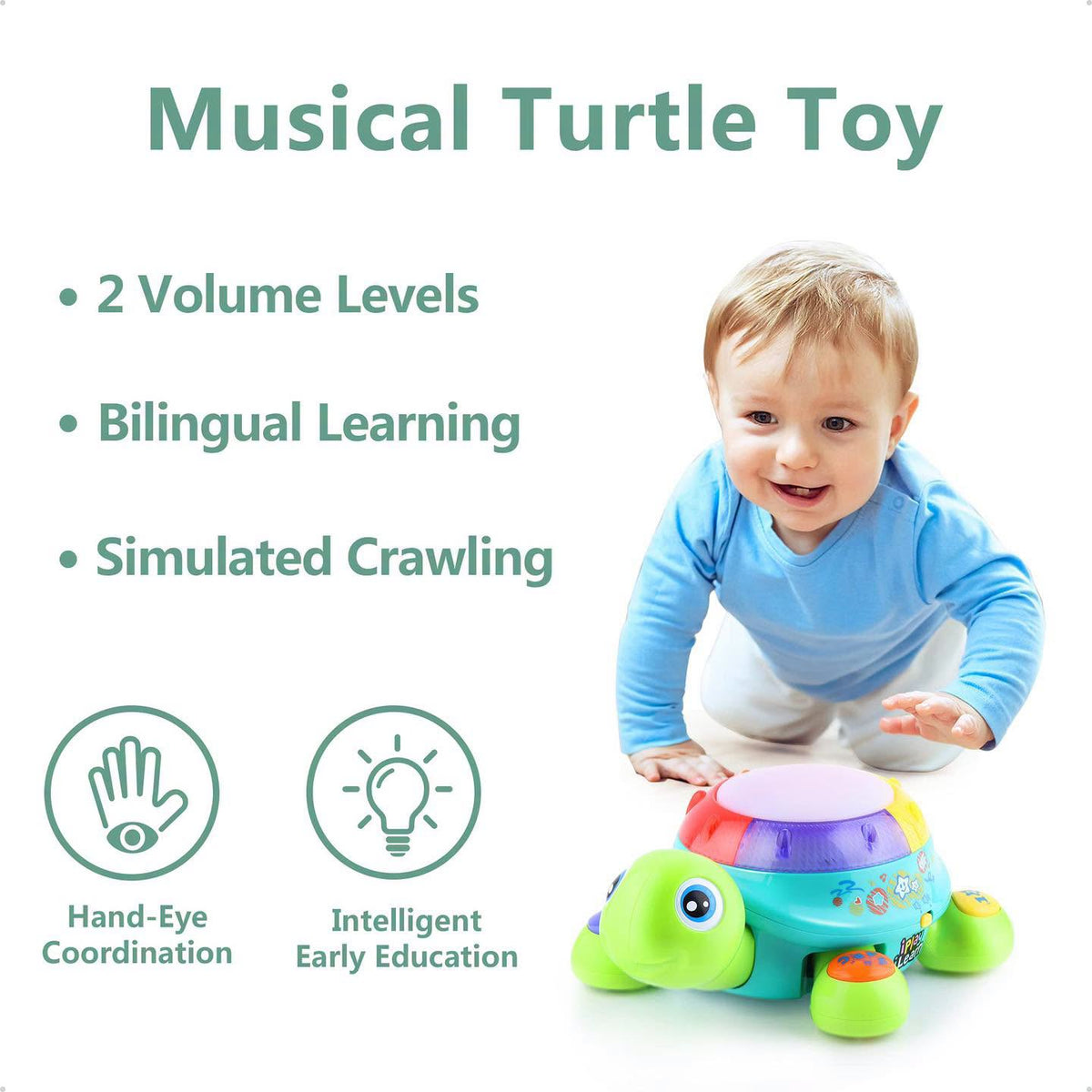 Tortuga musical bilingüe para estimular gateo en bebés 6+ meses!!